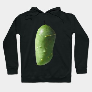 Monarch Chrysalis Hoodie